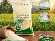 Túi đựng gạo đẹp
