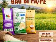 Túi đựng gạo đẹp