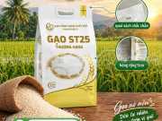 Túi đựng gạo đẹp