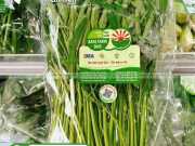 Bao Bì Rau Sạch