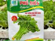 Bao Bì Hạt Giống