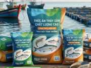 Bao Bì Thức Ăn Thủy Sản