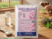 Bao Bì Thuốc Thú Y