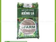 Bao Bì Giá Thể