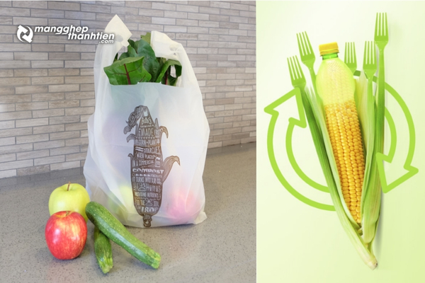 Bao b&igrave; nhựa sinh học ứng dụng trong đ&oacute;ng g&oacute;i thực phẩm v&agrave; h&agrave;ng ti&ecirc;u d&ugrave;ng