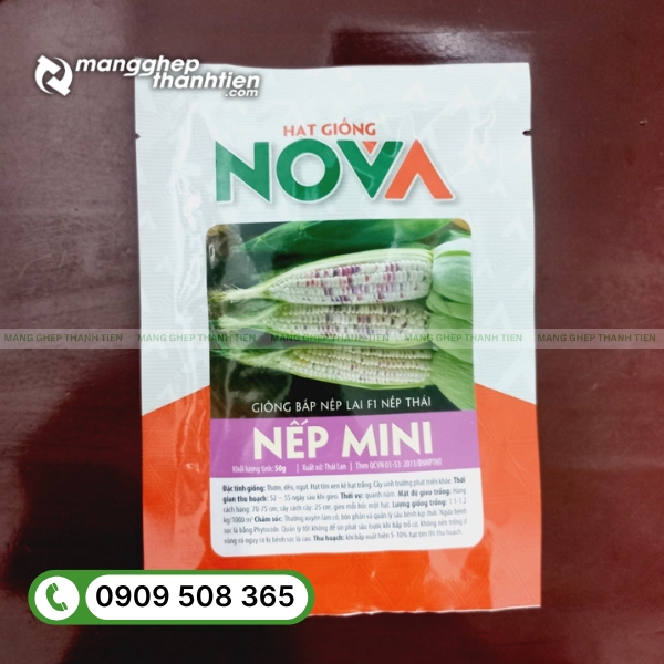 Cấu tạo bao b&igrave; hạt giống 