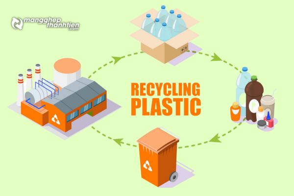 Quy trình tái chế nhựa hiện đại gồm thu gom, phân loại, làm sạch và tái sinh nguyên liệu