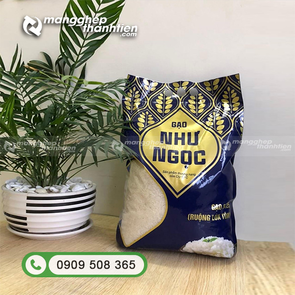  Mẫu t&uacute;i đục lỗ đựng gạo 2kg