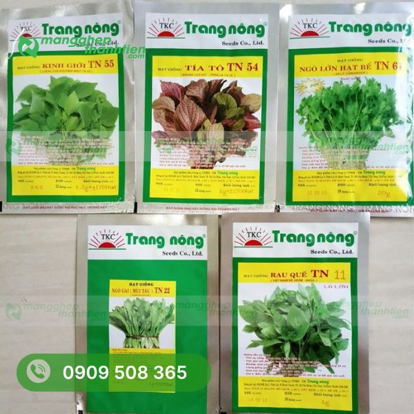 bao-bi-hat-giong-chat-luong