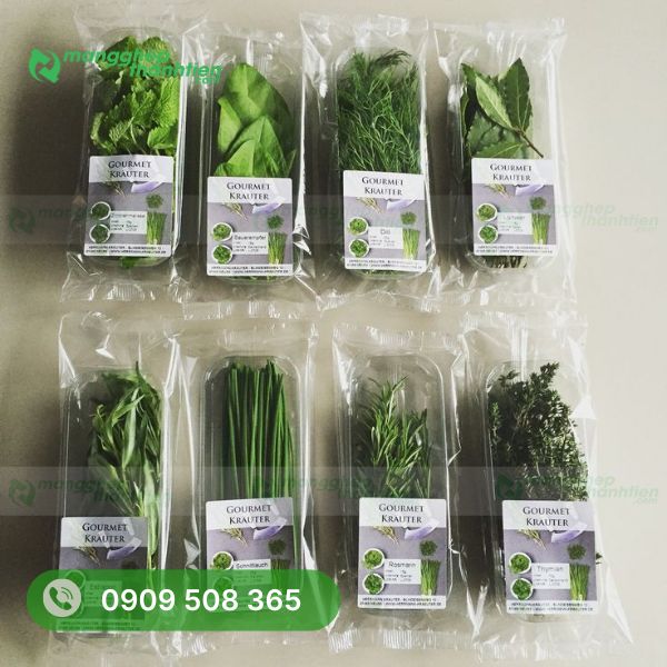 mau-bao-bi-rau-sach-duoc-ua-chuong