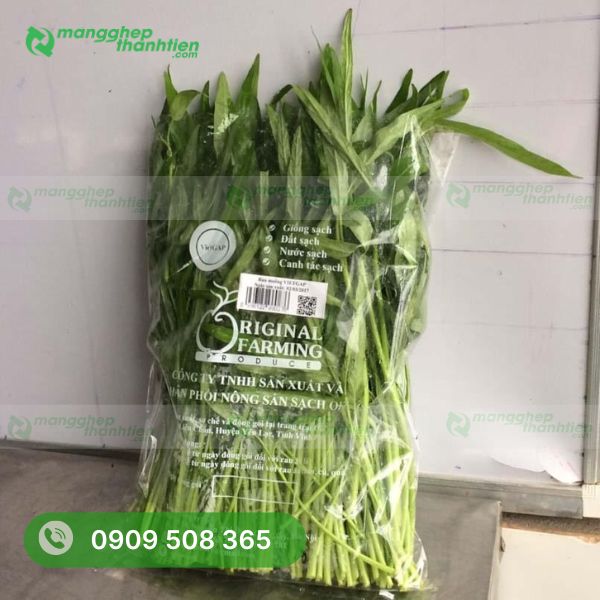 thong-tin-in-tren-bao-bi-rau-sach