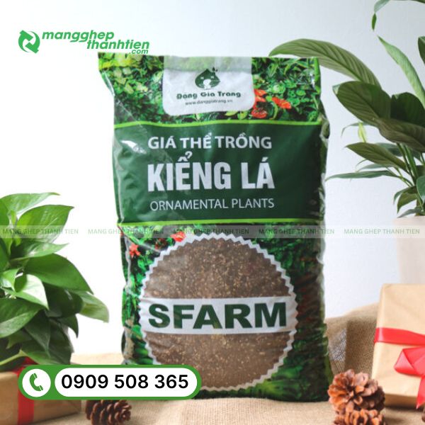 Bao b&igrave; gi&aacute; thể in logo thương hiệu