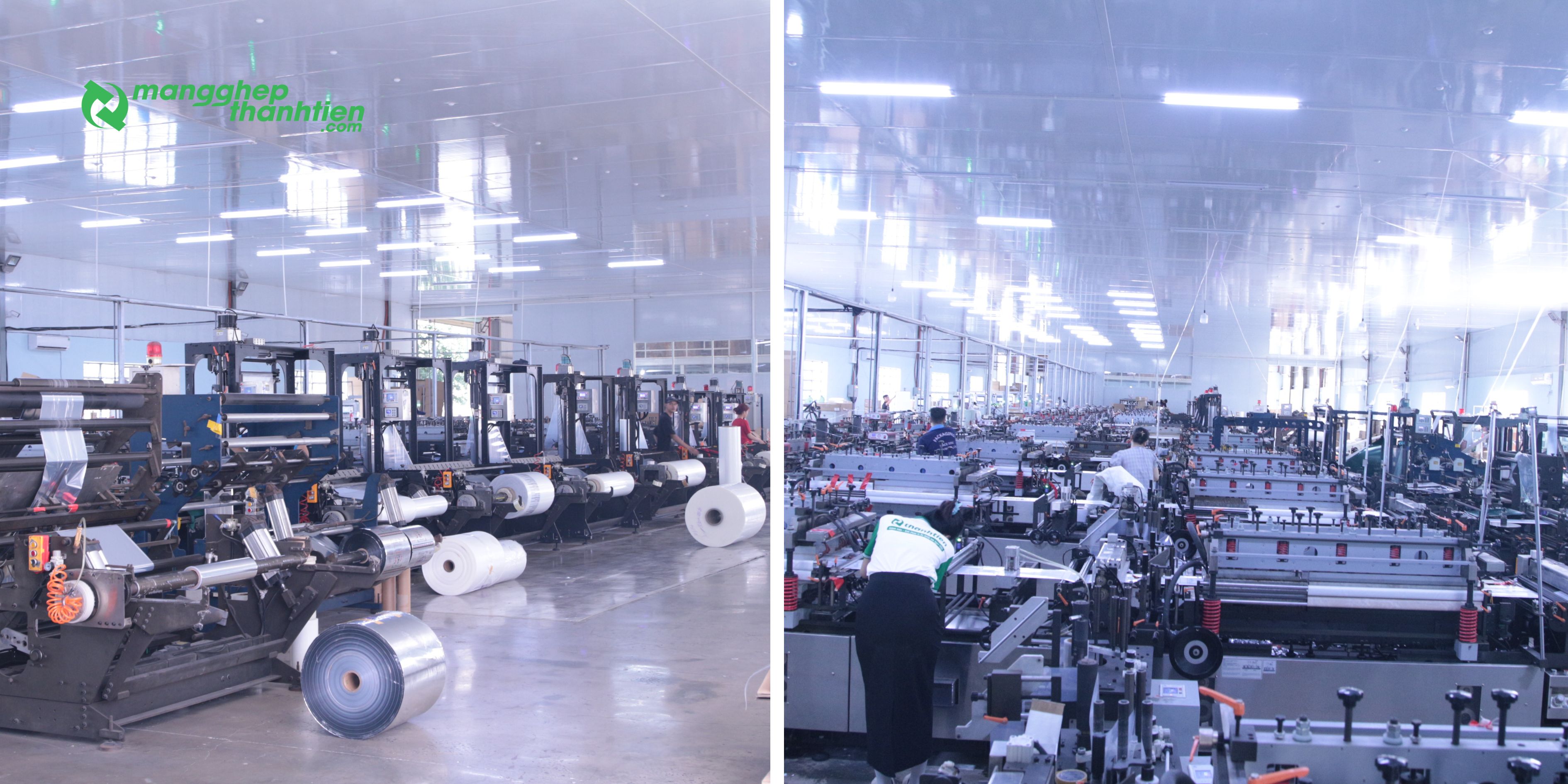 Quy m&ocirc; sản xuất tại M&agrave;ng Gh&eacute;p Th&agrave;nh Tiến